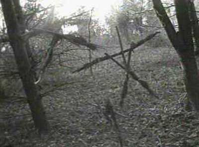 The Blair Witch Project 3 (????) movie