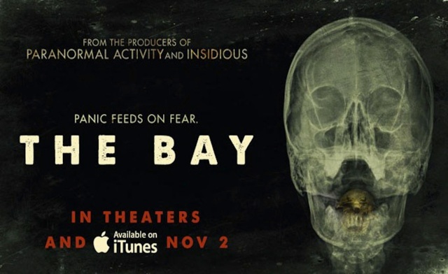 The Bay banner