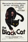 El Ray Black Cat