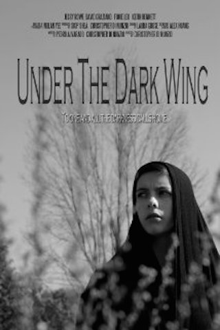 Under the Dark Wing poster
